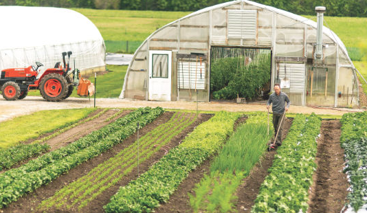 farm farm